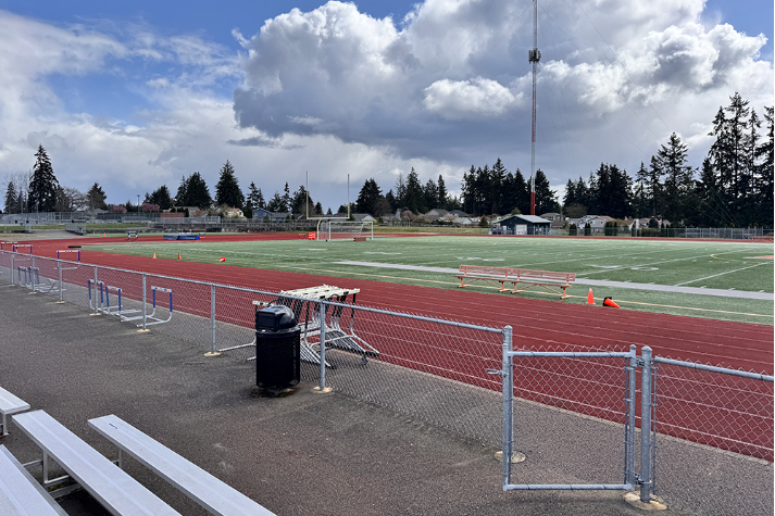 Football/Soccer Field Turf