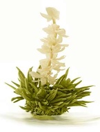 Seven Angels Tea Rosette from Forsman Tea