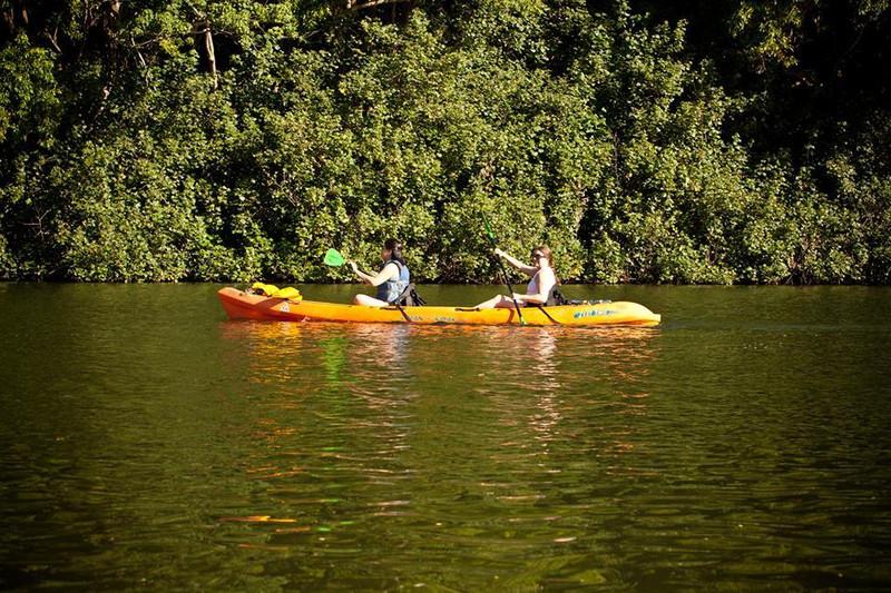 Secret Falls Kayak & Hike in Kapaʻa with Ancient River Kayak - Lihue
