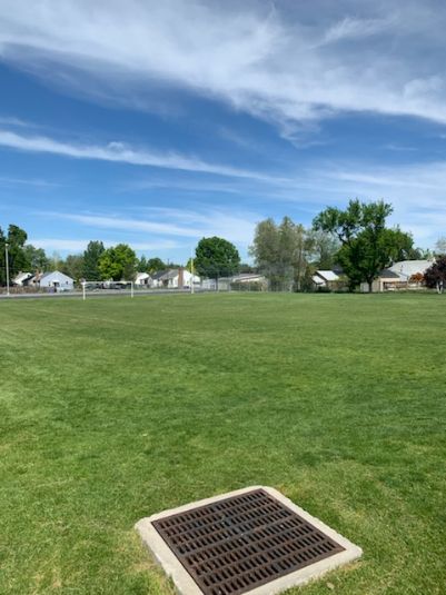 Field