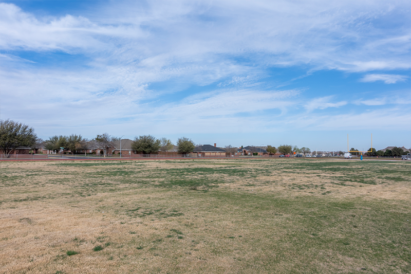 Grass Field