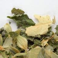 Douceur Nocturne from Camellia Sinensis