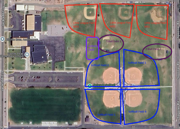Activity Field
