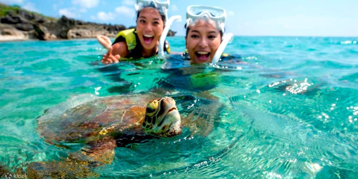 Oahu 16Location Guided Circle Island Snorkel Tour in Oahu Book Tours