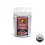 Ancient Yunnan from Octavia Tea