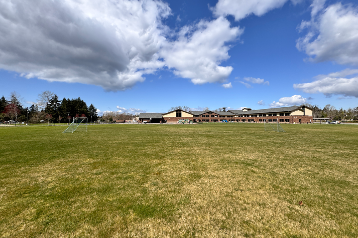 Athletic Field Grass