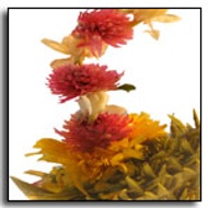 Three Moon Pearl Blooming Tea from The Exotic Teapot