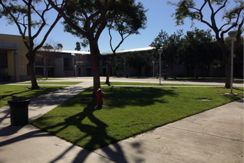 Quad