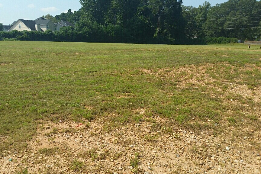 Soccer Field