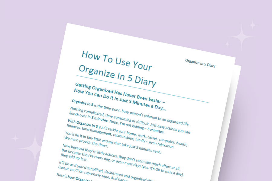 Organize In 5 Diary: What Is It?