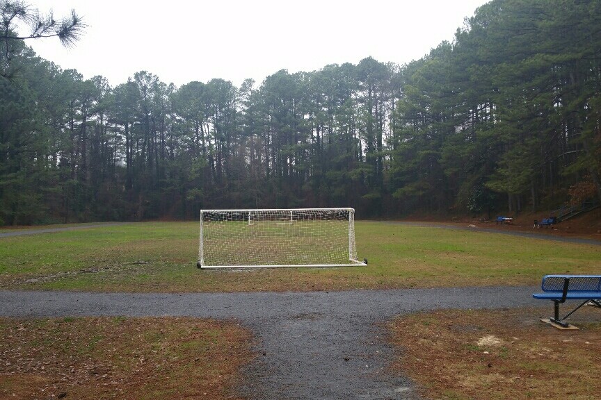Field