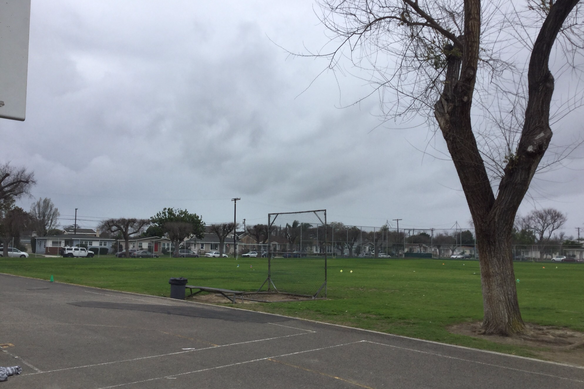 Field-West
