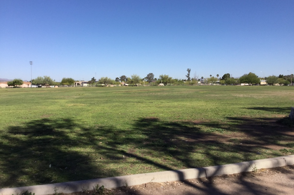 The Field