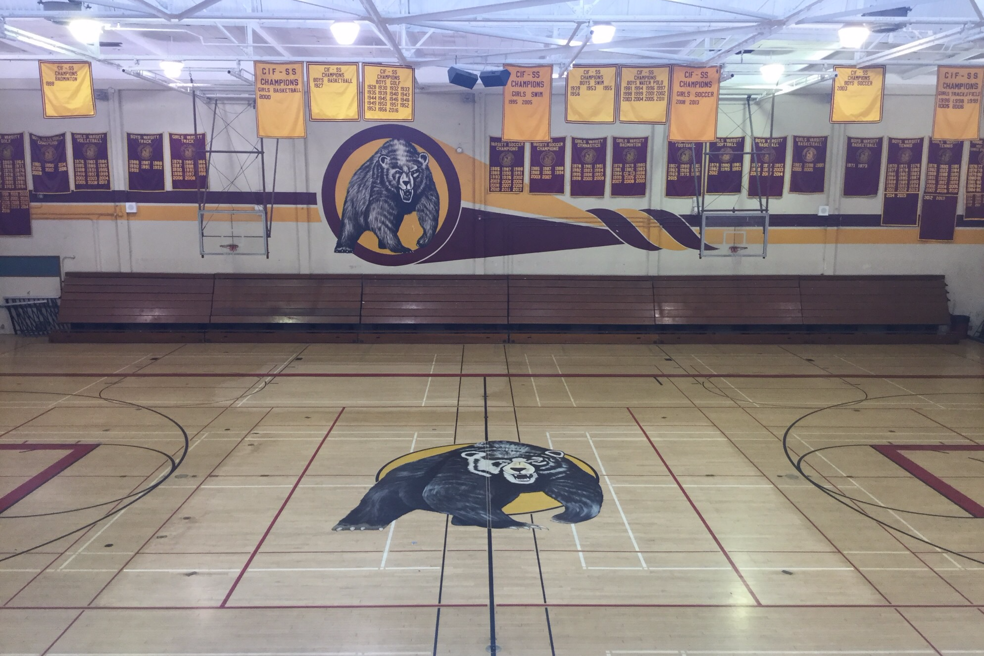 Gymnasium - Large