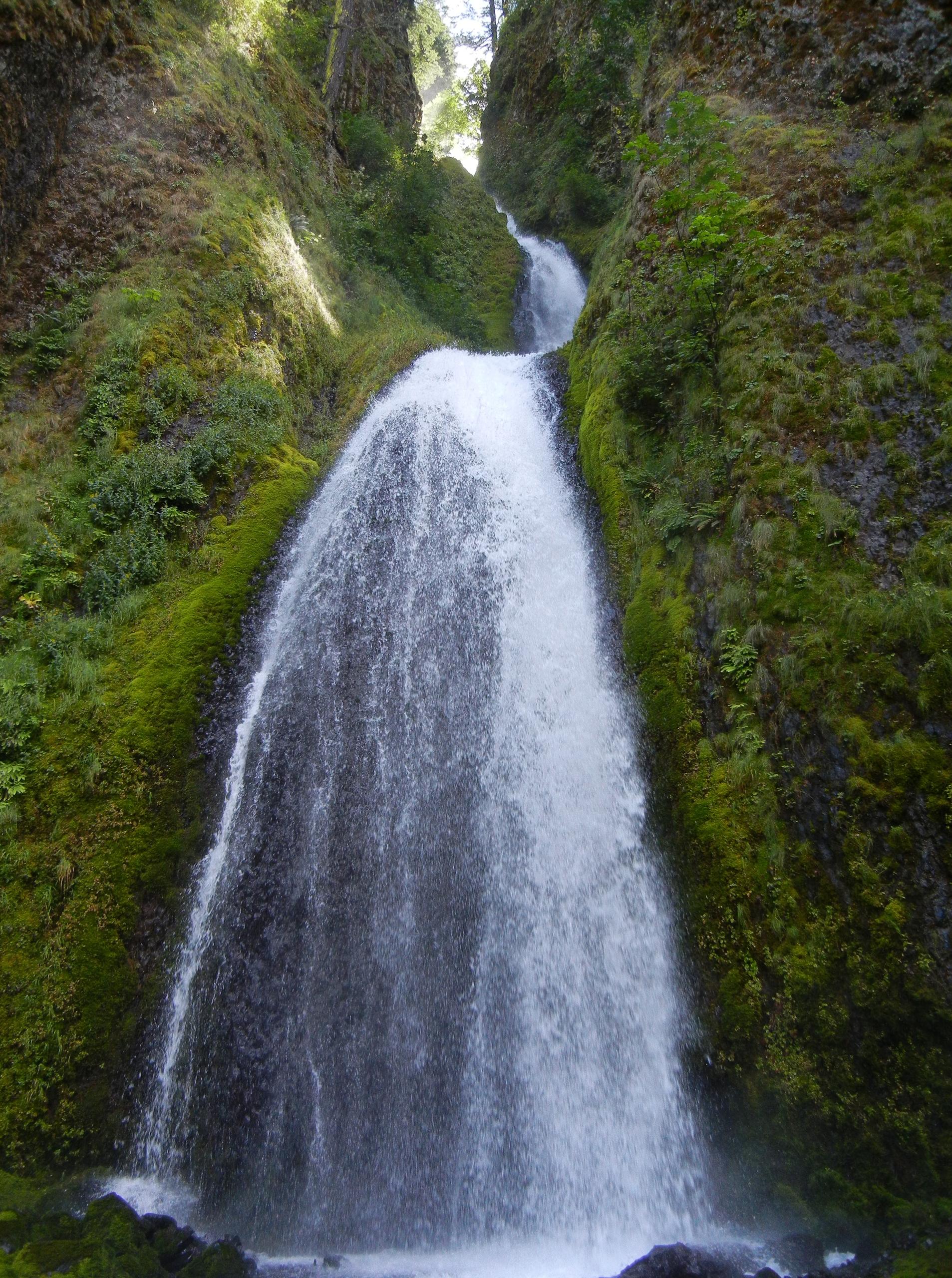Half Day Gorge Waterfalls Tour photo 3