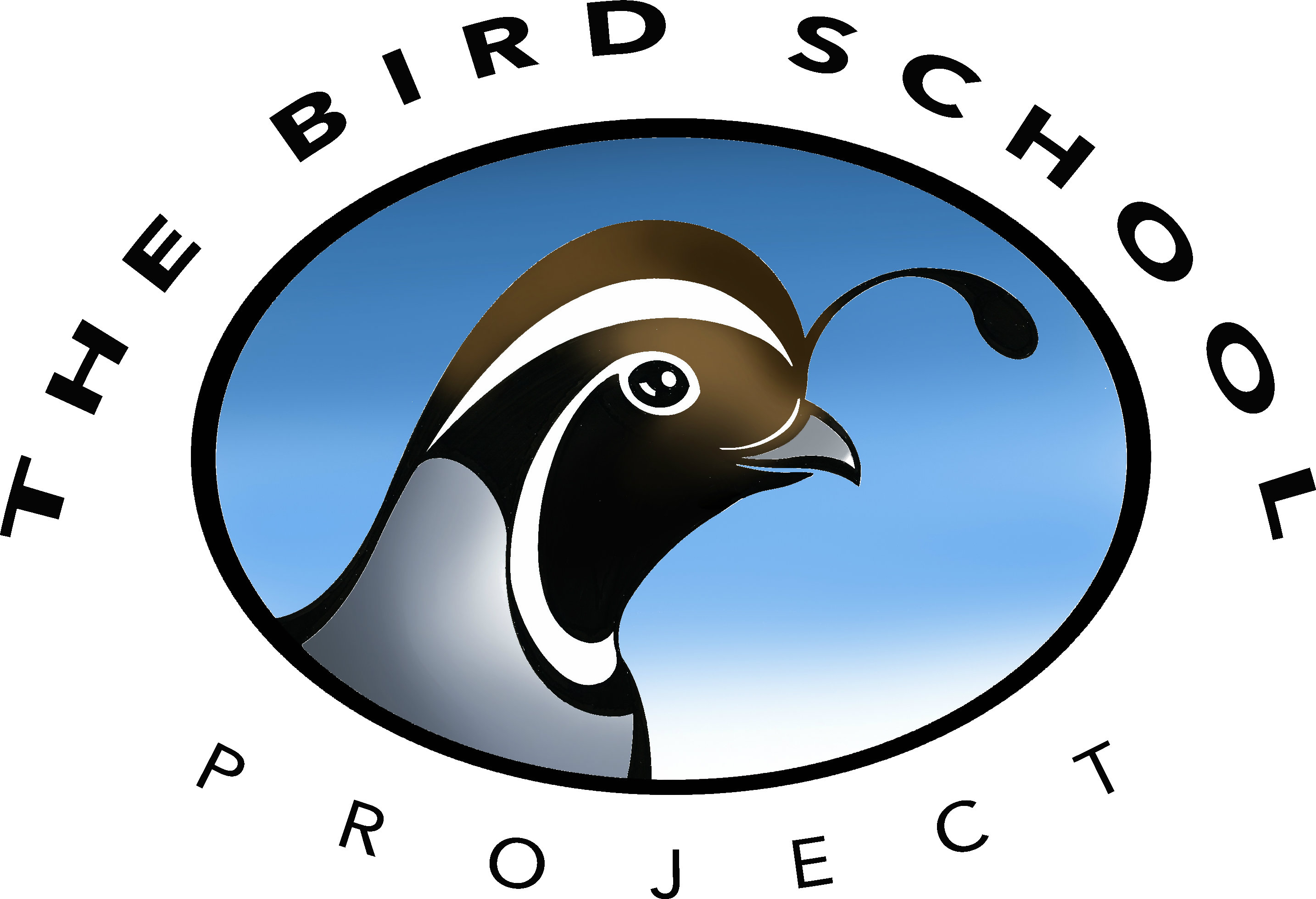 Support The Bird School Project Today The Bird School Project