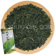 2012 Organic Yame Shincha from Yuuki-cha