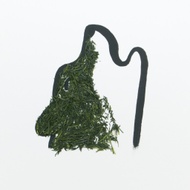Okami - Organic Uji Sencha from teabento