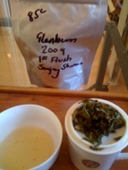 First Flush 2009 Darjeeling Glenburn estate from Postcard Teas
