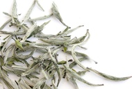 Silver Needle from California Tea House