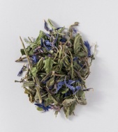 Focus from Well Rooted Teas