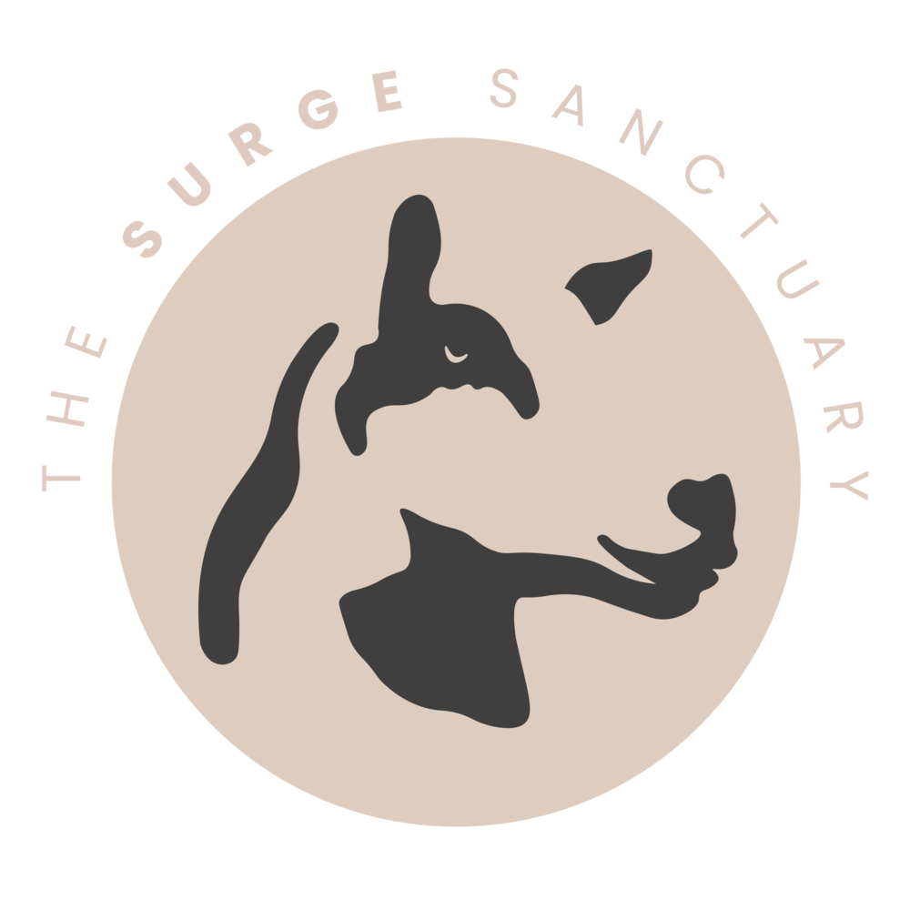 Surge Sanctuary logo