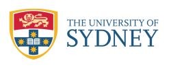 social media course in Sydney at University of Sydney