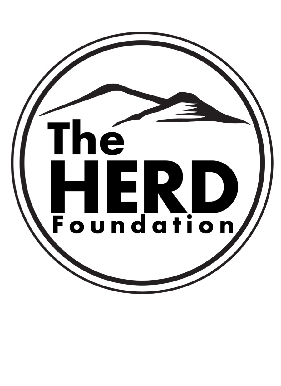 The HERD Foundation logo