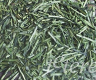 Kukicha from Tetere Barcelona