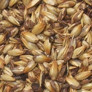 Crystal Malt 120 from Malt-Tea.com