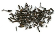 chocolate mint from Far Leaves Tea