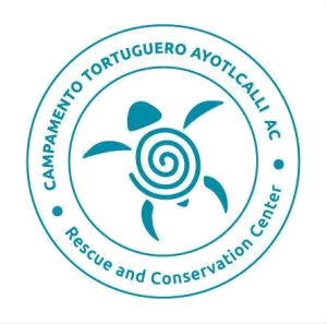 Warriors of the Rainbow logo