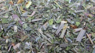 Lemon Dream Herbal Tisane from 52teas