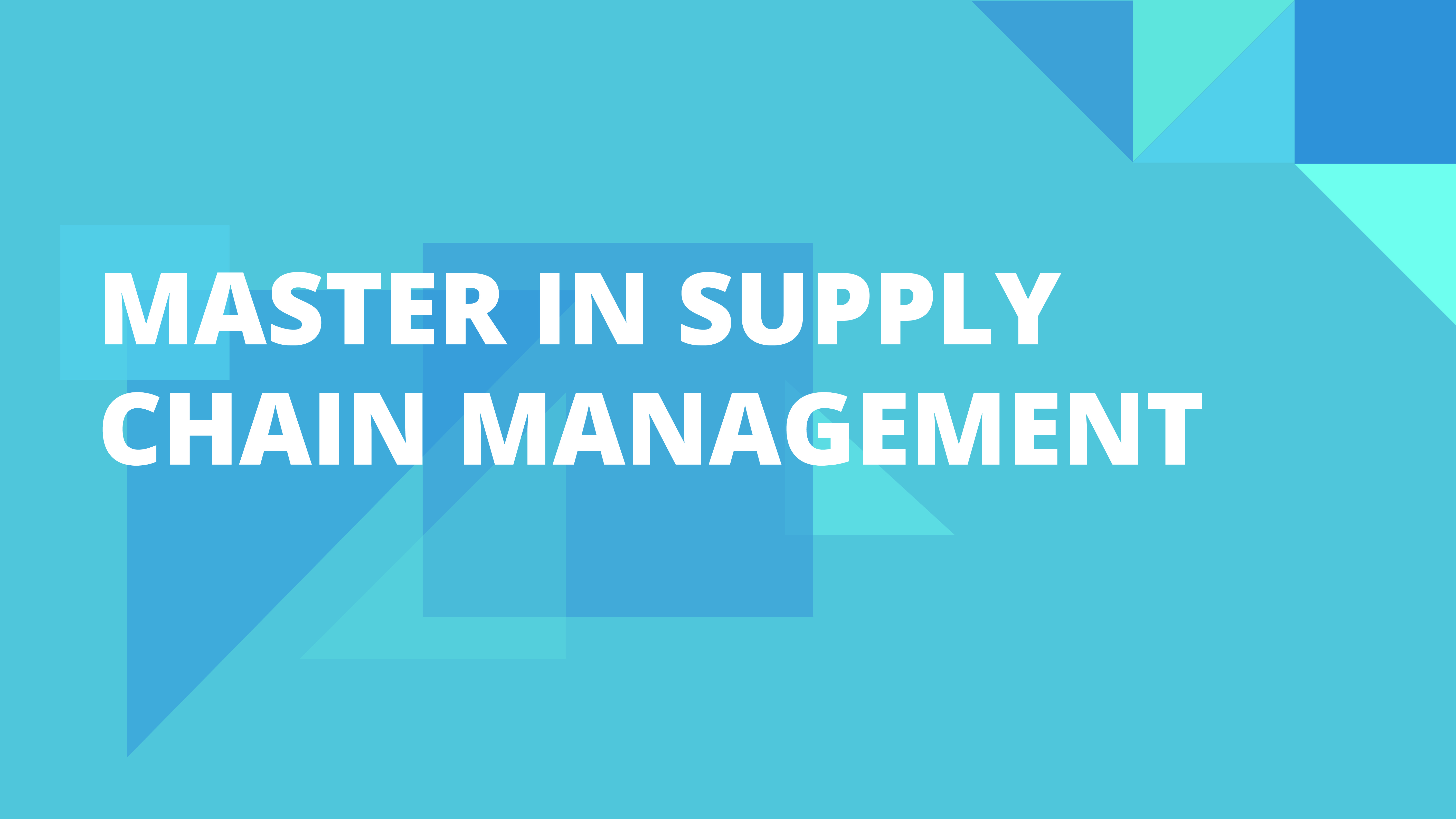 master dissertation supply chain management