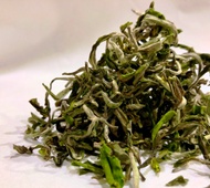 Glenburn Moonshine Elite Ex11 Darjeeling tea 1st flush 2020 from Tea Emporium ( www.teaemporium.net)