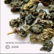 Quangzhou Milk Oolong from Tea Sante