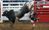 RODEO TEA from UNCLE RJ