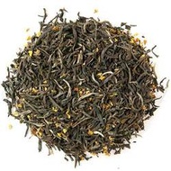 Osmanthus from Steepers