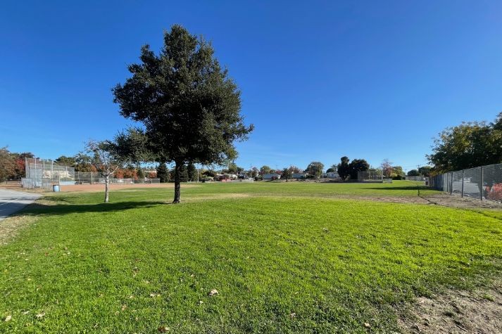 Outdoor Field 