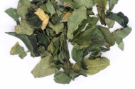Moringa from Adagio Teas