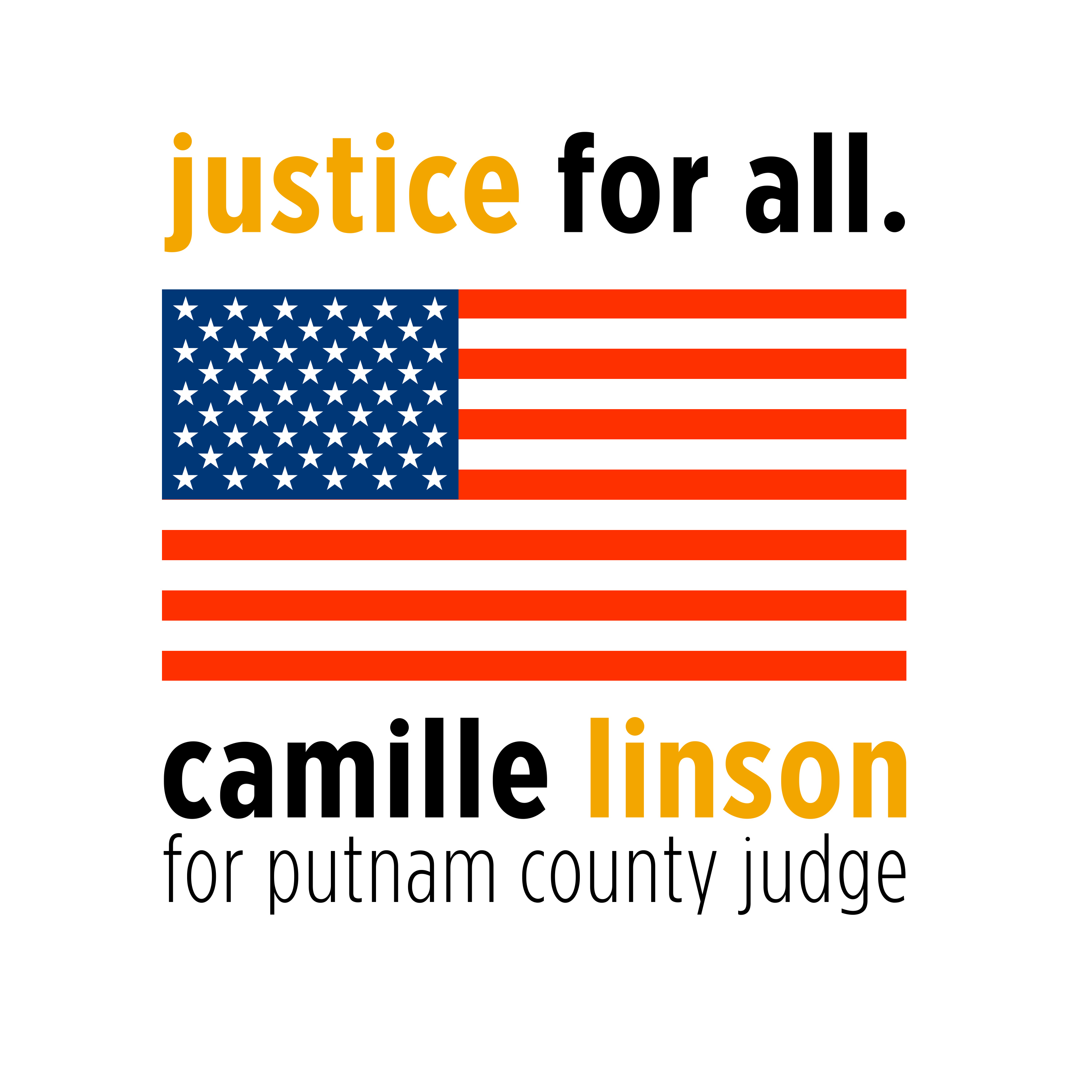 Elect Camille Linson logo