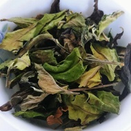 White Tea, Old Tree, Spring 2018, Tian Ci (Mao Cha) from Zuo Wang Tea