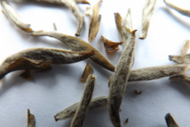 Jasmine Silver Needle (King Grade) from tea-adventure
