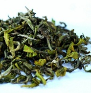 2012 Darjeeling First Flush Gopaldhara Wonder Tea from DarjeelingTeaXpress
