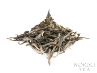 2010 Spring - Lao Ban Pen Mao Cha - Loose Pu-Erh Tea from Norbu Tea