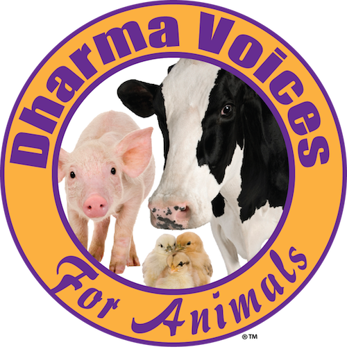 Dharma Voices for Animals logo