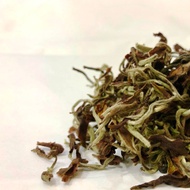 Margaret`s Hope White Delight Exclusive 2nd flush 2018 Darjeeling white tea from Tea Emporium ( www.teaemporium.net)