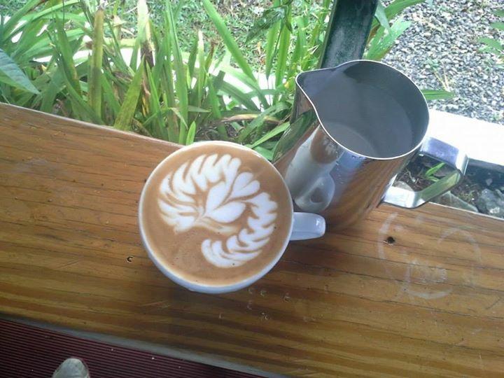 Semi-Private Coffee Plantation Tour ☕️ tour photo 13