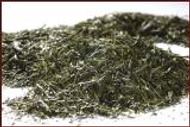 Japan Gyokuro Asahi from Evas Teeplantage