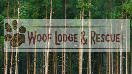 Woof Lodge & Rescue logo